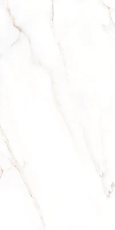 Calacatta 60x120 cm